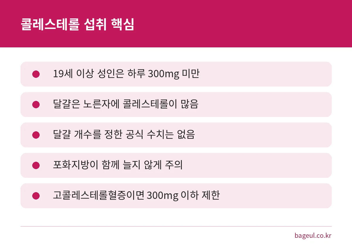 콜레스테롤 하루 섭취 기준과 달걀 섭취 시 핵심 포인트를 정리한 요약 카드