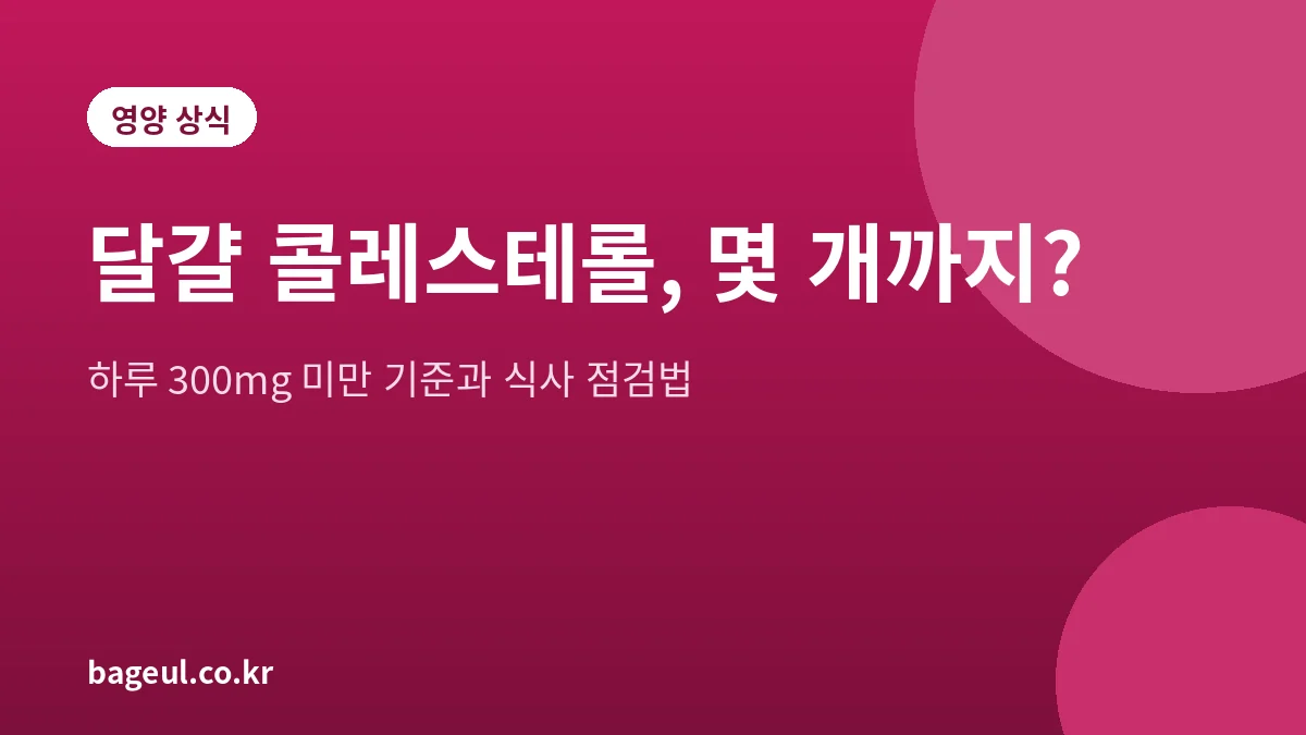 달걀과 콜레스테롤 하루 섭취 기준을 설명하는 대표 그림
